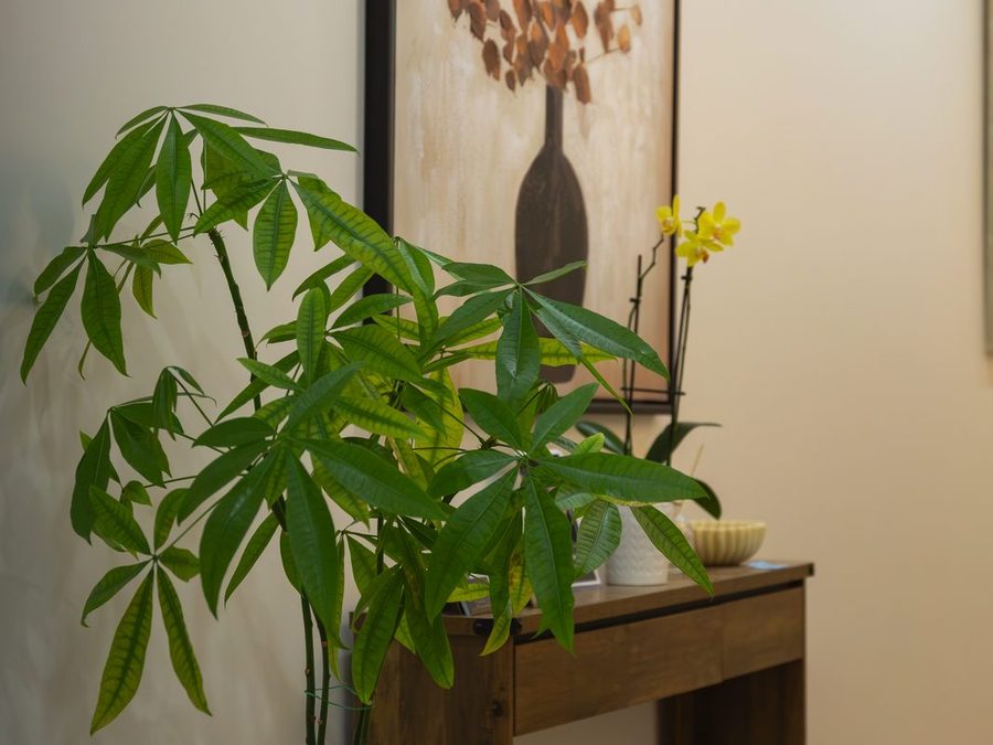 Reception area at Healastic inside Aesth&eacute; Medical Aesthetics in Manotick